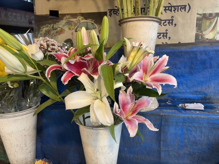 Tử vi vòng quay công nghệ ngày 26/1/2026: Tuổi Hợi khá thuận lợi, tuổi Thìn gặp biến động