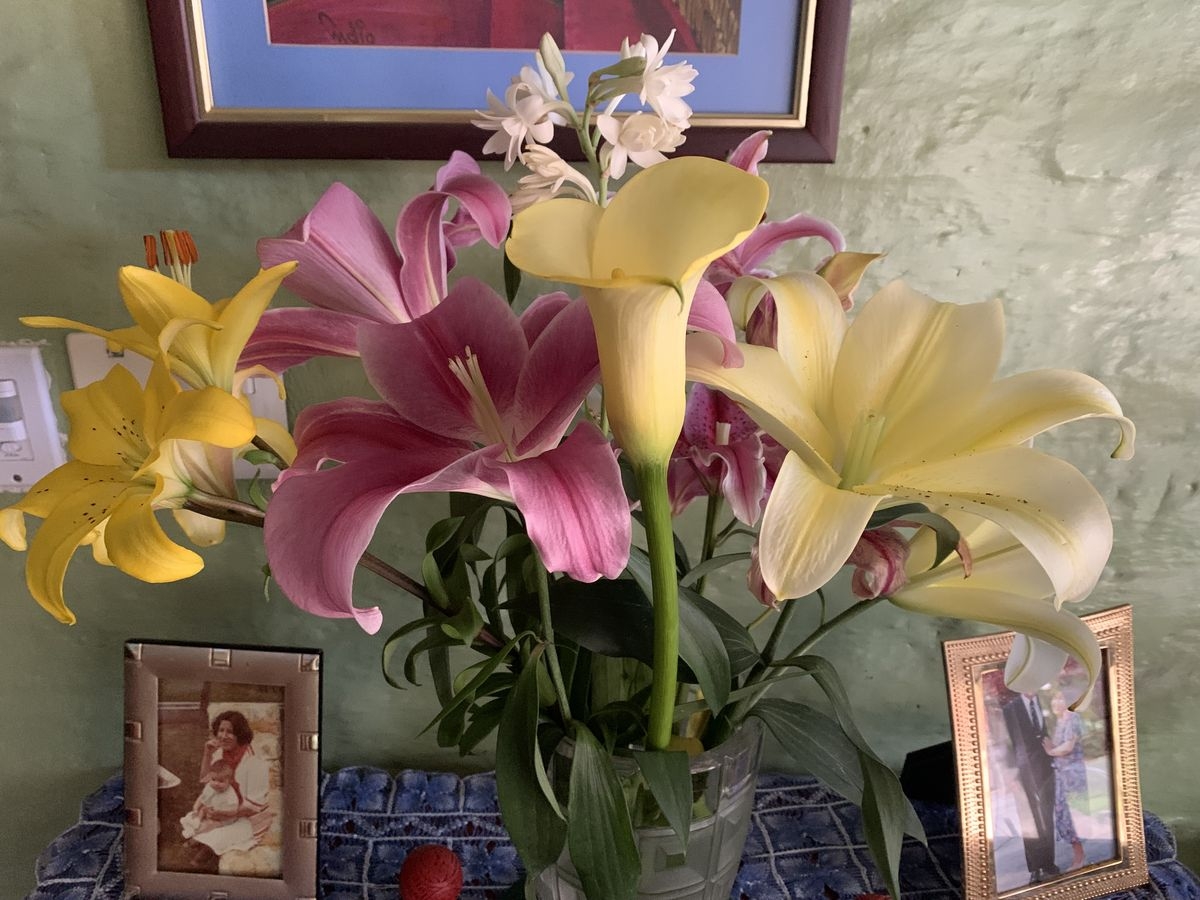 Tử vi vòng quay công nghệ ngày 26/1/2026: Tuổi Hợi khá thuận lợi, tuổi Thìn gặp biến động