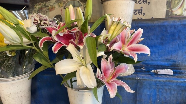 Tử vi vòng quay công nghệ ngày 26/1/2026: Tuổi Hợi khá thuận lợi, tuổi Thìn gặp biến động