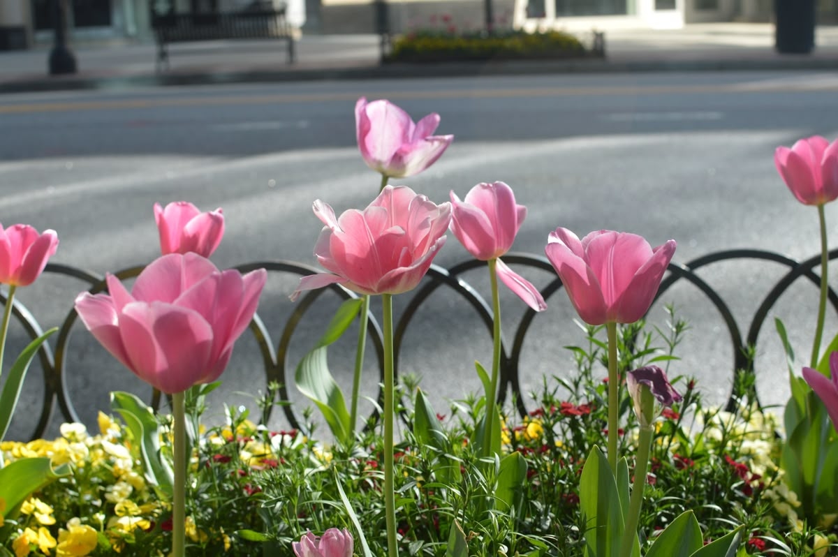 Tử vi vòng quay công nghệ ngày 29/1/2026: Tuổi Thìn nhiều may mắn, tuổi Mùi tiểu nhân quấy phá