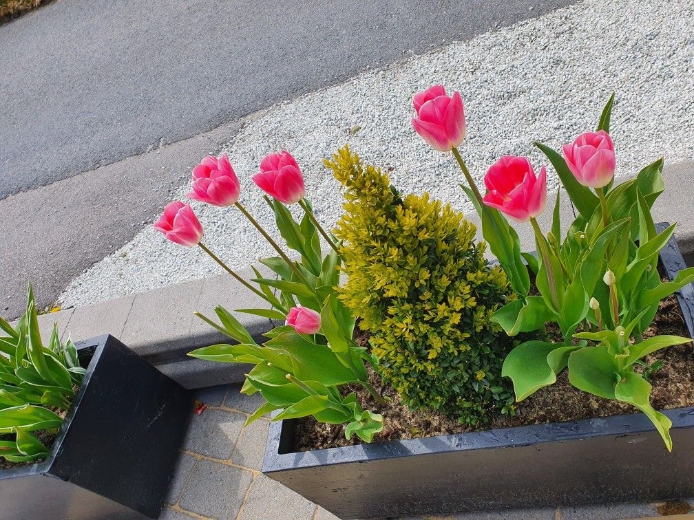 Tử vi vòng quay công nghệ ngày 28/3/2026: Tuổi Tỵ tình cảm hòa thuận, tuổi Thìn cẩn thận lừa gạt