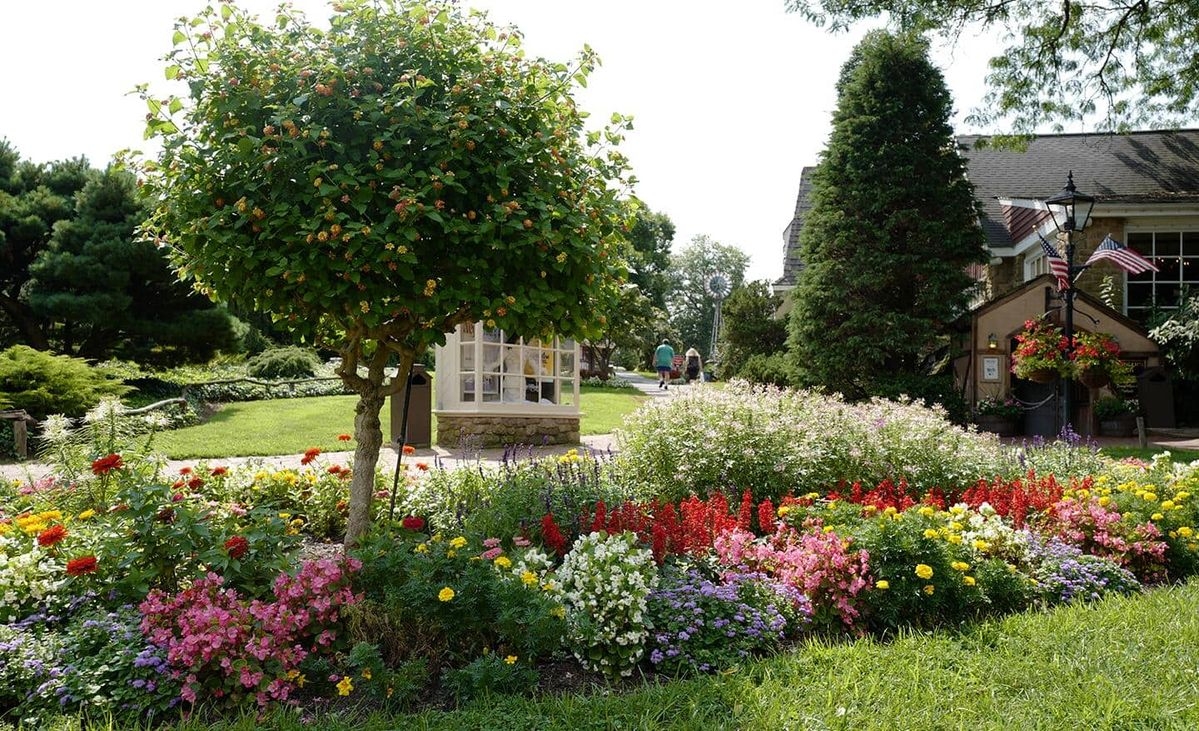 Tử vi vòng quay công nghệ ngày 4/2/2026: Tuổi Mão trở ngại tình cảm, tuổi Hợi tin vui tài chính