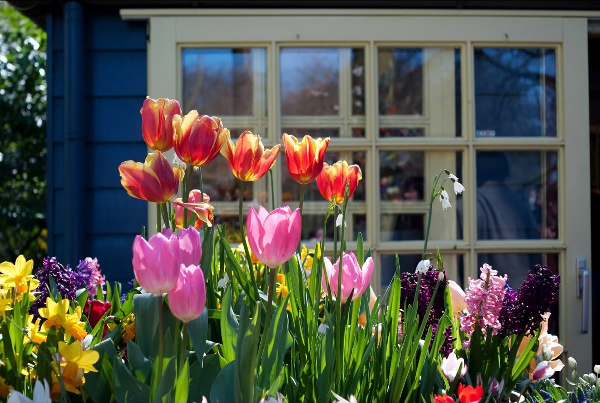 Tử vi vòng quay công nghệ ngày 4/2/2026: Tuổi Mão trở ngại tình cảm, tuổi Hợi tin vui tài chính