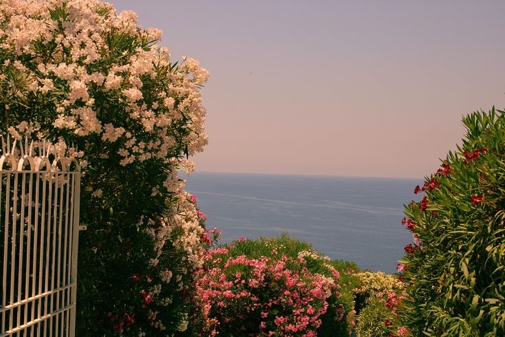 Tử vi vòng quay công nghệ ngày 6/2/2026: Tuổi Sửu khá dư dả, tuổi Thân suy nghĩ tiêu cực