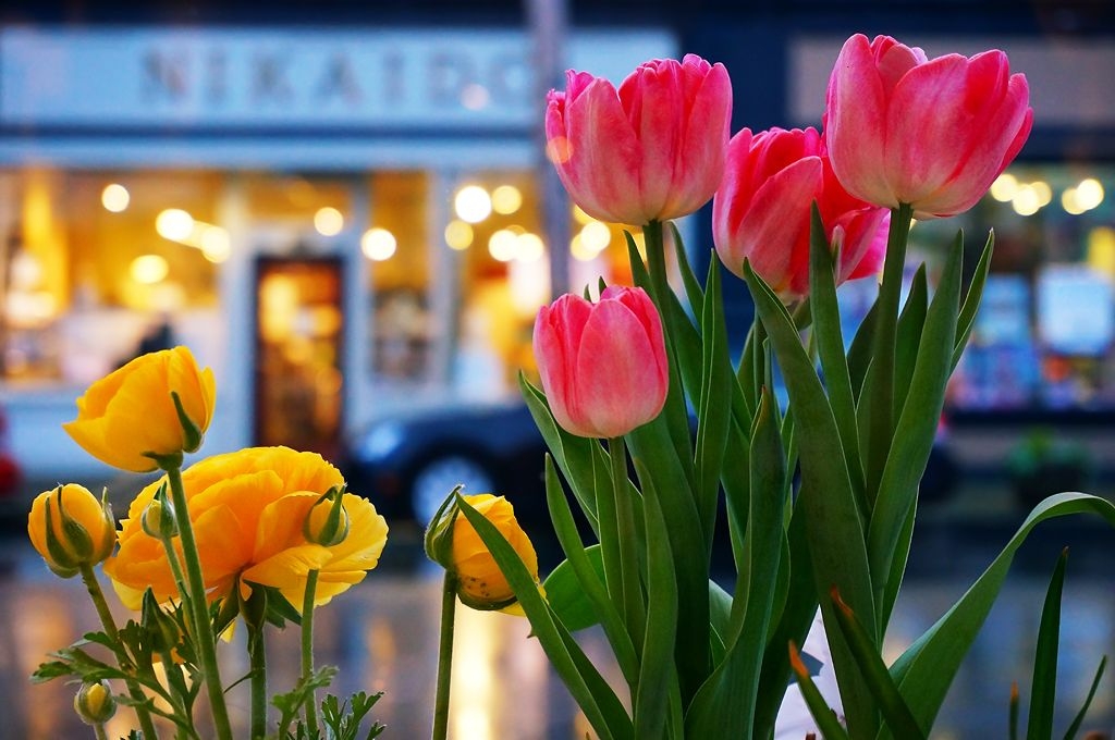 Tử vi vòng quay công nghệ ngày 12/4/2026: Tuổi Tuất khá thăng trầm, tuổi Dần vấp phải trở ngại