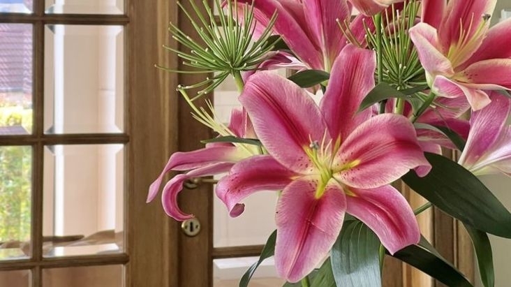 Tử vi vòng quay công nghệ ngày 8/2/2026: Tuổi Dần dễ tranh cãi, tuổi Thân tín hiệu tích cực