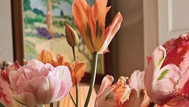 Tử vi vòng quay công nghệ ngày 30/3/2026: Tuổi Tý tiến triển tốt đẹp, tuổi Mùi gặp tranh chấp