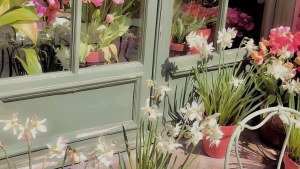 Tử vi vòng quay công nghệ ngày 12/2/2026: Tuổi Tý một ngày dư dả, tuổi Dần gặp khó khăn