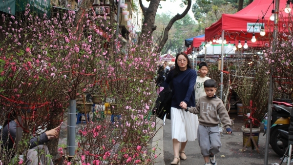 Rực rỡ Chợ hoa Xuân Phố cổ Hà Nội cận Tết Bính Ngọ 2026