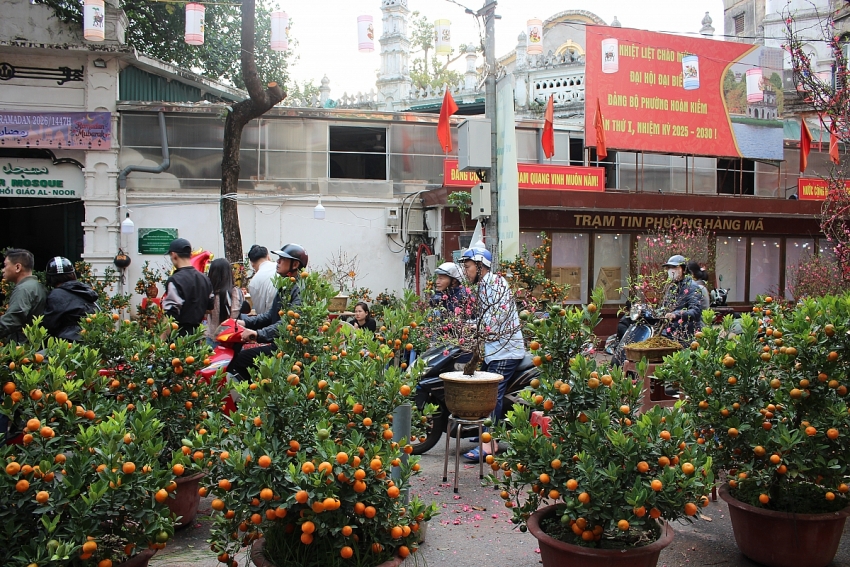 Rực rỡ Chợ hoa Xuân Phố cổ Hà Nội cận Tết Bính Ngọ 2026