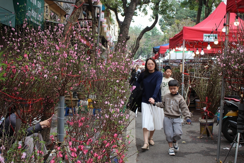 Rực rỡ Chợ hoa Xuân Phố cổ Hà Nội cận Tết Bính Ngọ 2026