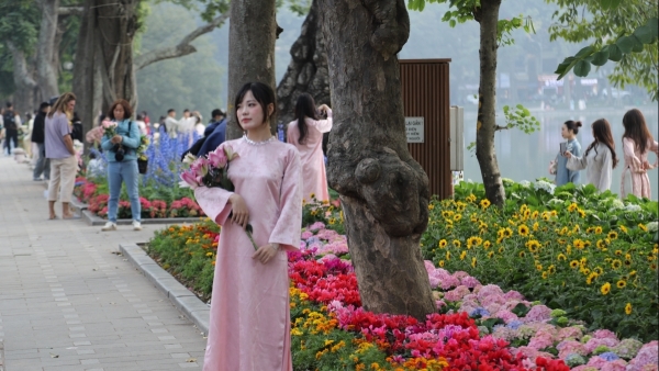 Hồ Gươm rực sắc đào xuân, thành điểm check-in "nóng" nhất Hà Nội dịp Tết Bính Ngọ