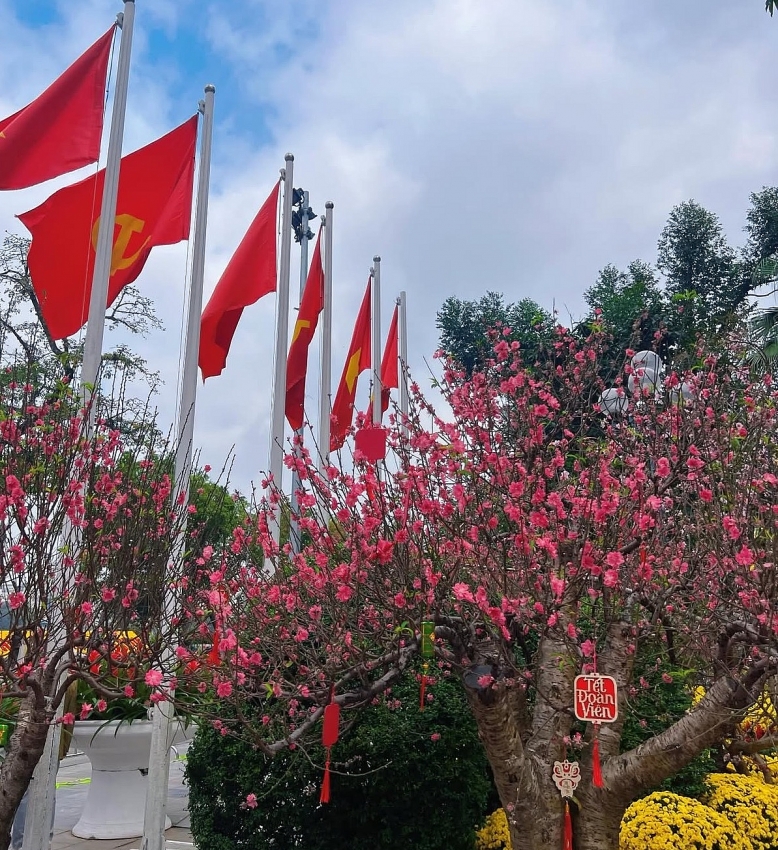 Hồ Gươm rực sắc đào xuân, thành điểm check-in 