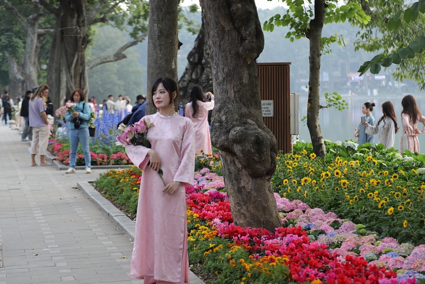 Hồ Gươm rực sắc đào xuân, thành điểm check-in 