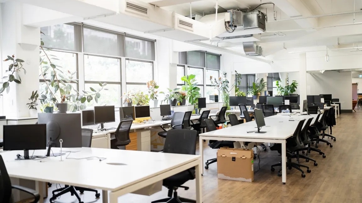 CEO AI của Microsoft: Hầu hết công việc văn phòng có thể được tự động hóa trong 18 tháng tới