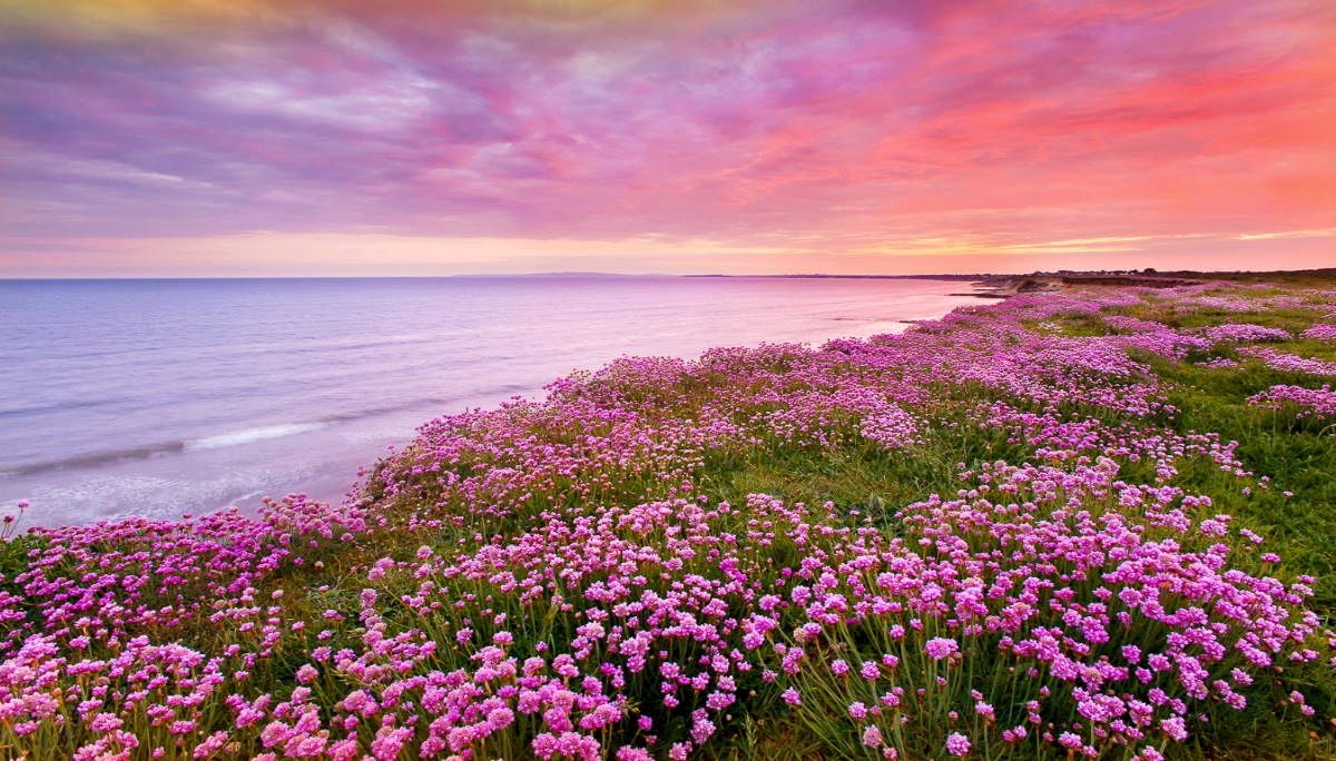 Tử vi vòng quay công nghệ ngày 20/2/2026: Tuổi Mùi dễ gặp xui xẻo, tuổi Thân tài lộc dồi dào