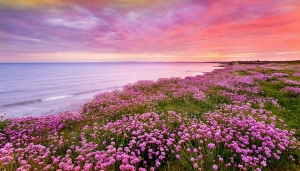 Tử vi vòng quay công nghệ ngày 20/2/2026: Tuổi Mùi dễ gặp xui xẻo, tuổi Thân tài lộc dồi dào