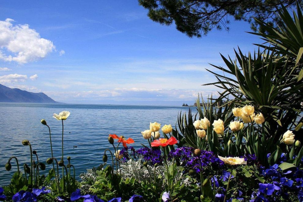 Tử vi vòng quay công nghệ ngày 20/2/2026: Tuổi Mùi dễ gặp xui xẻo, tuổi Thân tài lộc dồi dào