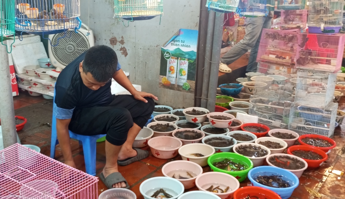 Hà Nội tăng cường giao thông, an ninh để người dân đi lễ Phủ Tây Hồ văn minh, an toàn