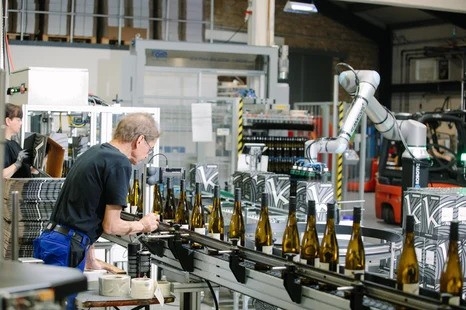 Nhà máy rượu vang châu Âu nâng cao hiệu quả nhờ giải pháp xếp pallet bằng cobot