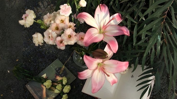 Tử vi vòng quay công nghệ ngày 24/2/2026: Tuổi Sửu mâu thuẫn nội bộ, tuổi Thìn cơ hội để kiếm tiền