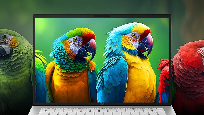 LG Electronics ra mắt Gram 14 thế hệ 2026: Laptop 14 inch, tích hợp Ryzen AI mới