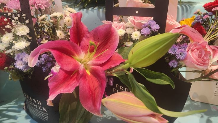 Tử vi vòng quay công nghệ ngày 28/2/2026: Tuổi Tý một ngày vượng, tuổi Dần chú ý lối hành xử