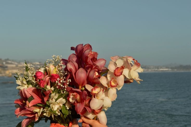 Tử vi vòng quay công nghệ ngày 28/2/2026: Tuổi Tý một ngày vượng, tuổi Dần chú ý lối hành xử