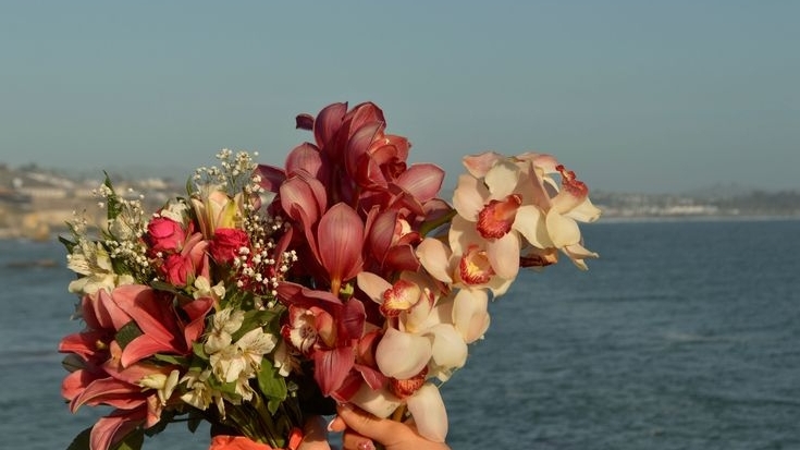 Tử vi vòng quay công nghệ ngày 3/3/2026: Tuổi Dần đào hoa nở rộ, tuổi Mùi vướng phải khó khăn