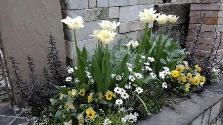 Tử vi vòng quay công nghệ ngày 2/3/2026: Tuổi Ngọ gặp nhiều may mắn, tuổi Mùi xảy ra mâu thuẫn