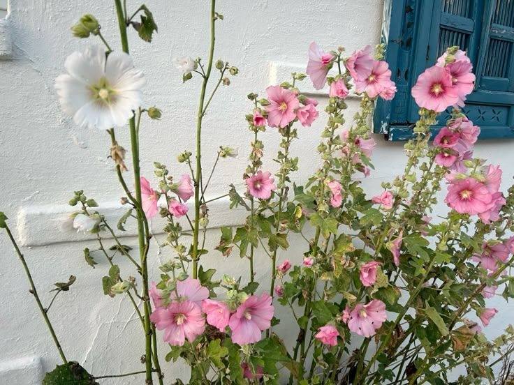 Tử vi vòng quay công nghệ ngày 2/3/2026: Tuổi Ngọ gặp nhiều may mắn, tuổi Mùi xảy ra mâu thuẫn