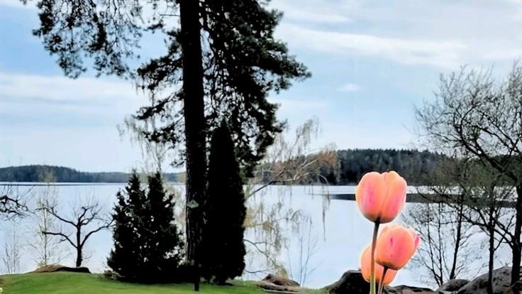 Tử vi vòng quay công nghệ ngày 22/3/2026: Tuổi Sửu mất niềm tin, tuổi Thân tín hiệu tốt