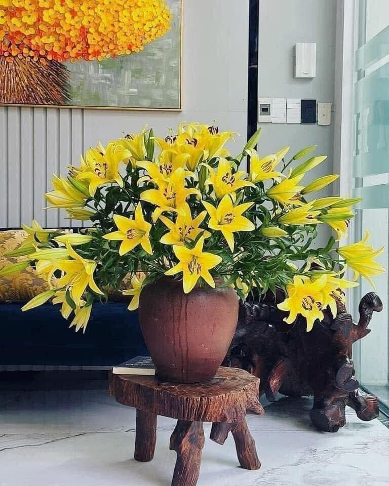 Thị trường quà tặng 8/3: Quà sức khỏe, sản phẩm công nghệ lên ngôi