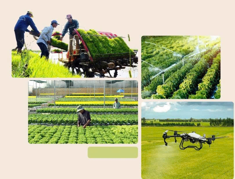 Việt Nam đang có nhiều cơ hội phát triển nông nghiệp xanh bền vững