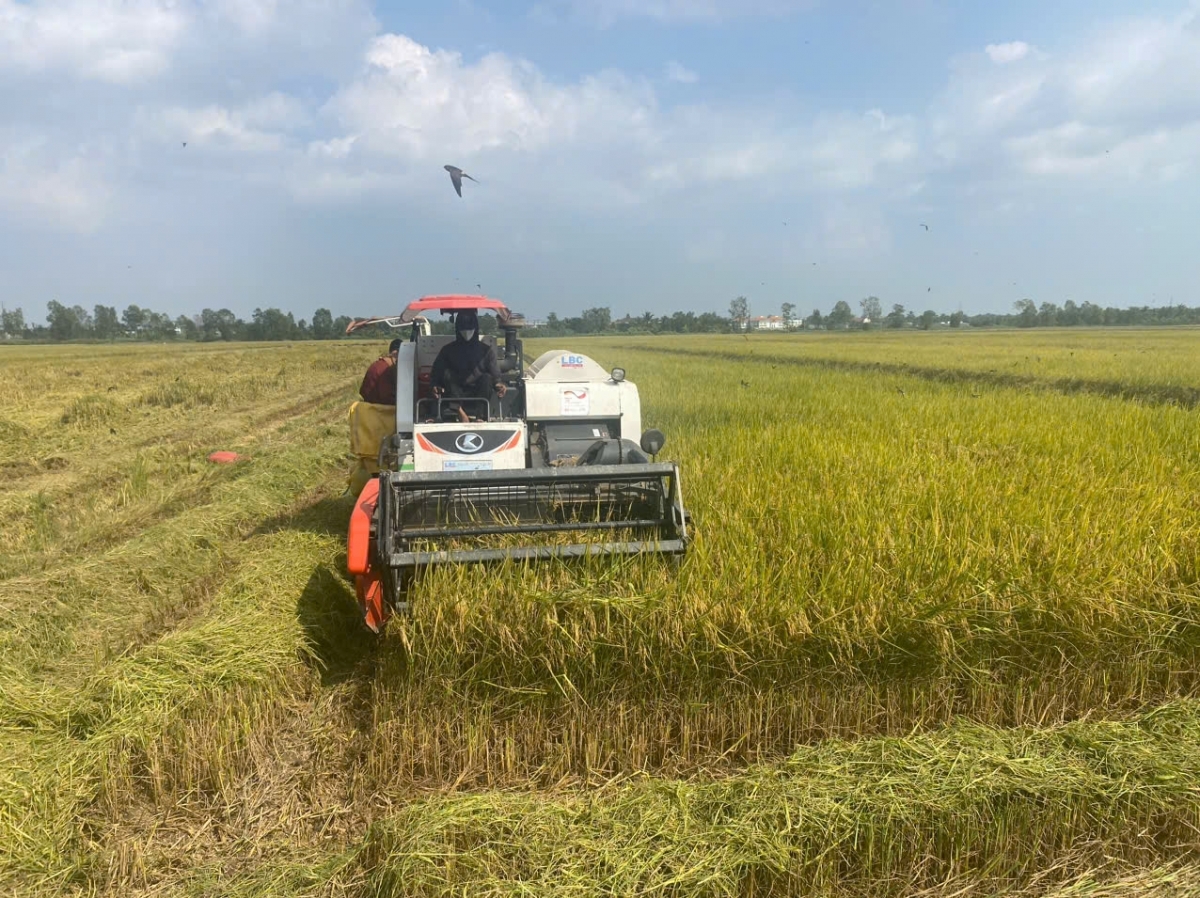 Việt Nam đang có nhiều cơ hội phát triển nông nghiệp xanh bền vững