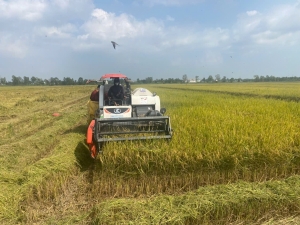 Việt Nam đang có nhiều cơ hội phát triển nông nghiệp xanh bền vững