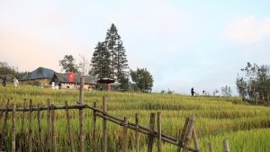 Việt Nam vào top 5 điểm đến du lịch hấp dẫn nhất thế giới năm 2026