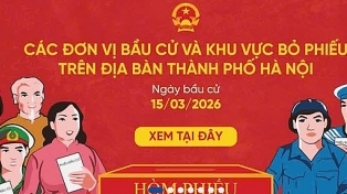 Hà Nội ứng dụng bản đồ số hỗ trợ cử tri tra cứu điểm bỏ phiếu