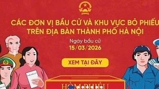 Hà Nội ứng dụng bản đồ số hỗ trợ cử tri tra cứu điểm bỏ phiếu