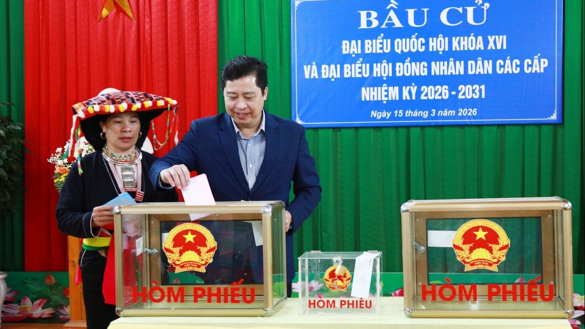 Hơn 99% cử tri cả nước tham gia bầu cử đại biểu Quốc hội khóa XVI