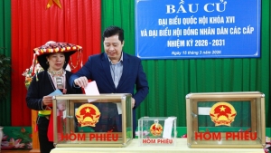 Hơn 99% cử tri cả nước tham gia bầu cử đại biểu Quốc hội khóa XVI