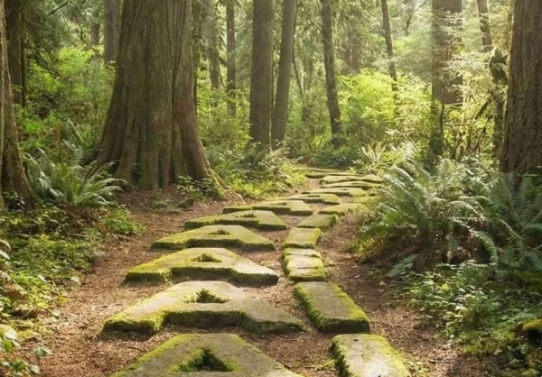 Sử dụng AI để giải quyết các thách thức môi trường trong hoạt động công nghiệp