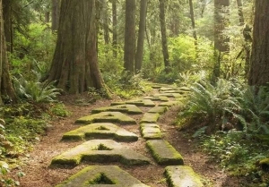 Sử dụng AI để giải quyết các thách thức môi trường trong hoạt động công nghiệp