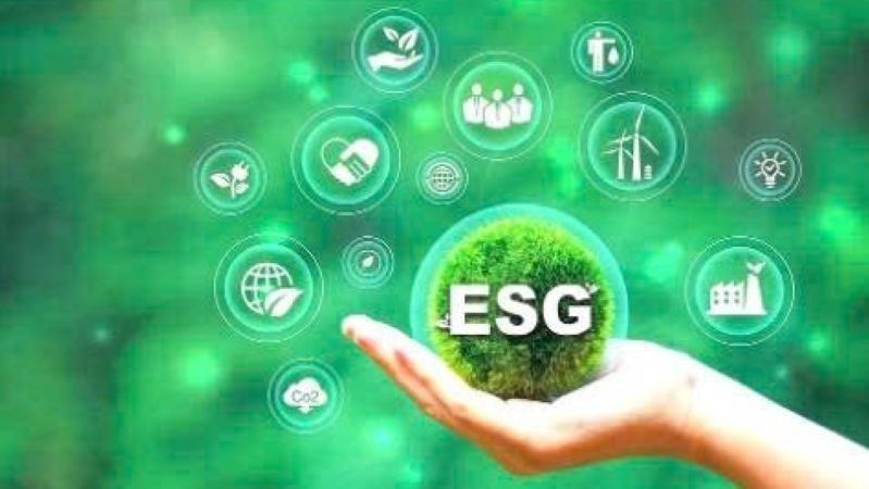Nghịch lý ESG trong nông nghiệp: Làm tốt nhưng vẫn khó tiếp cận vốn xanh