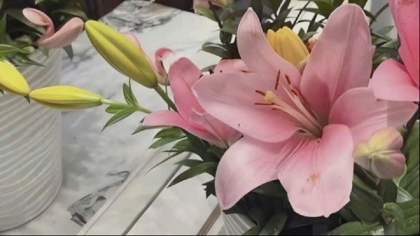 Tử vi vòng quay công nghệ ngày 25/3/2026: Tuổi Ngọ đón vận may, tuổi Mão công việc suy giảm