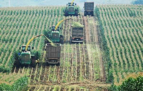 Từ “bài học vượt khủng hoảng” đến khát vọng xây dựng những “cánh chim đầu đàn” trong nông nghiệp