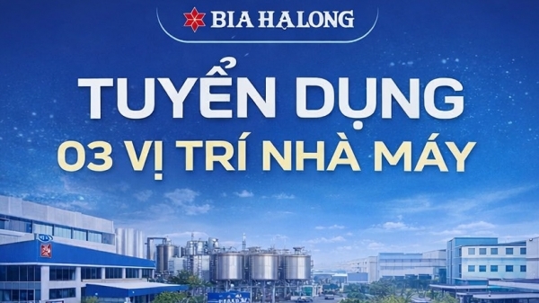 Bia Hạ Long thông báo tuyển dụng nhân sự