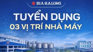 Bia Hạ Long thông báo tuyển dụng nhân sự