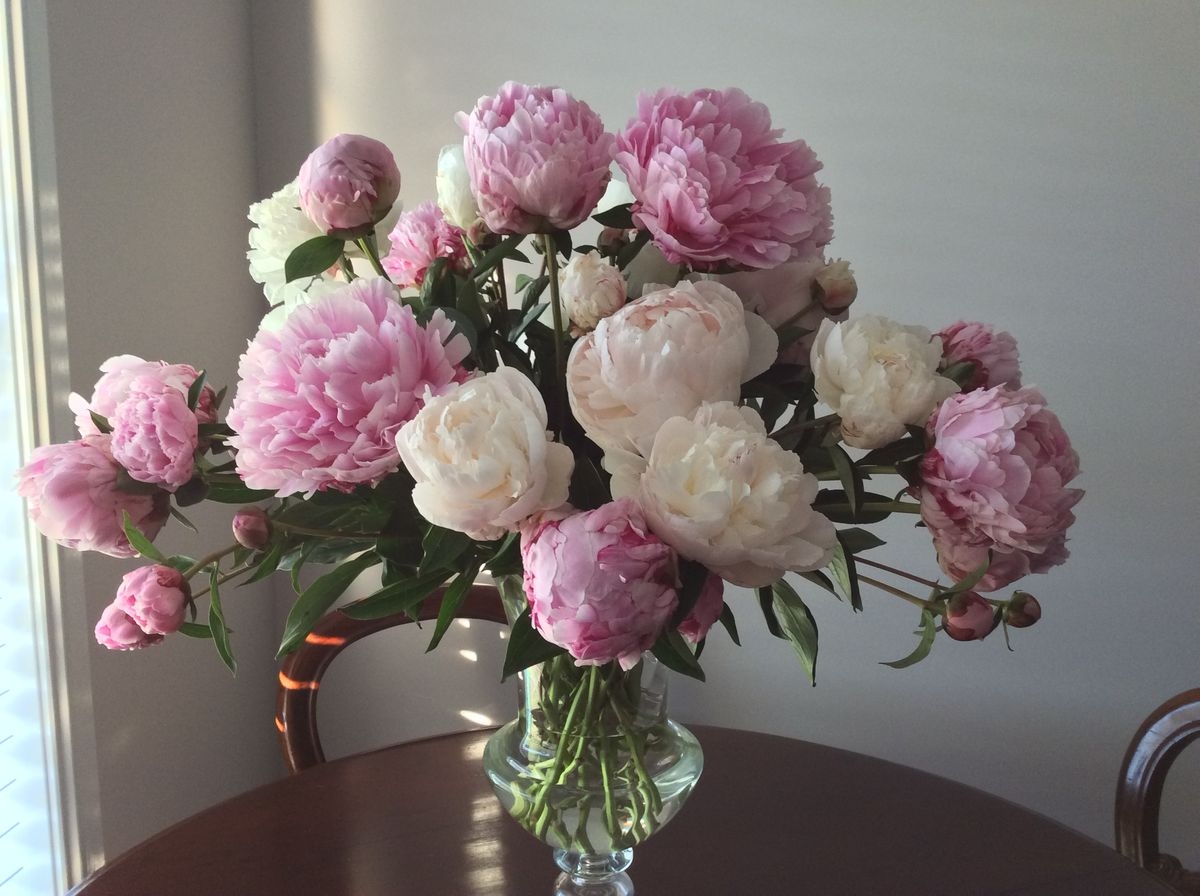 Tử vi vòng quay công nghệ ngày 24/4/2026: Tuổi Sửu nhiều tin vui, tuổi Thân cẩn thận phá tài