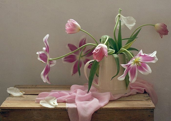 Tử vi vòng quay công nghệ ngày 25/4/2026: Tuổi Hợi khá suôn sẻ, tuổi Mùi gặp khó khăn